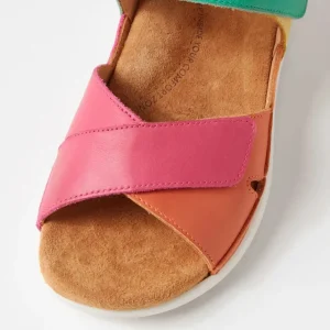 ZIERA BRONN- BRIGHT MULTI Hot