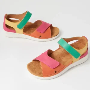 ZIERA BRONN- BRIGHT MULTI Hot