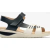 PITILLOS CHERRY- Navy Hot
