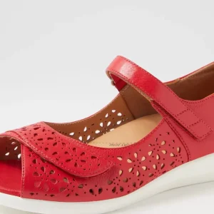 ZIERA DAFFODIL- Red Sale