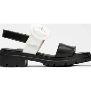 PITILLOS DOTTI- BLACK/WHITE Hot