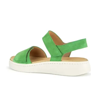 GABOR PAPAYA- Green Outlet